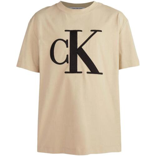 Vêtements Homme T-shirts manches courtes Calvin Klein Chrono  Beige