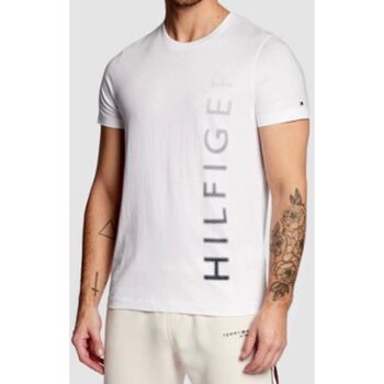 Vêtements Homme T-shirts & Polos Tommy Hilfiger Signature Blanc