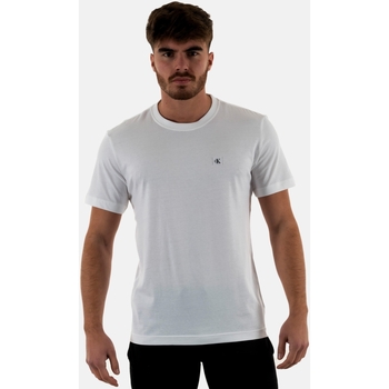 Vêtements Homme T-shirts manches courtes Calvin Klein Jeans j30j325268 Blanc