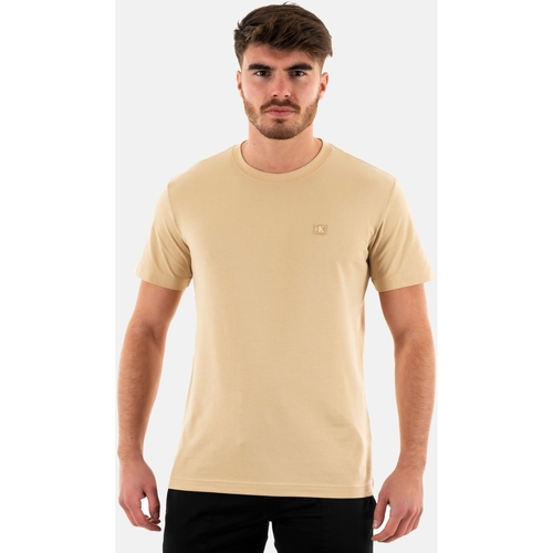 Vêtements Homme T-shirts manches courtes Calvin Klein Chrono j30j325268 Beige