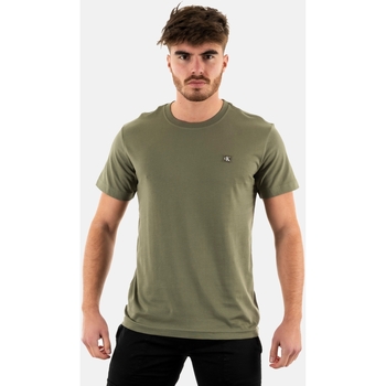 Vêtements Homme T-shirts manches courtes Calvin Klein Jeans j30j325268 Vert