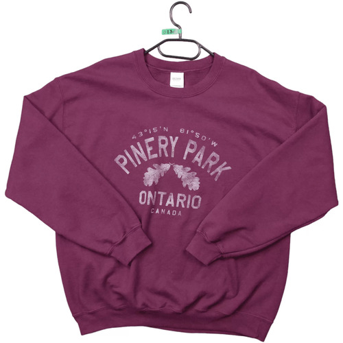Vêtements Homme Sweats Gildan Sweat  Pinery Park Ontario Canada Autres