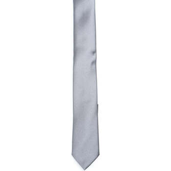 Vêtements Homme Cravates et accessoires Paoloni  Gris