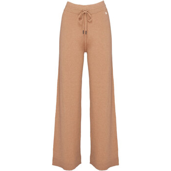 Vêtements Femme Pantalons cargo Woolrich WWTR0159 Marron