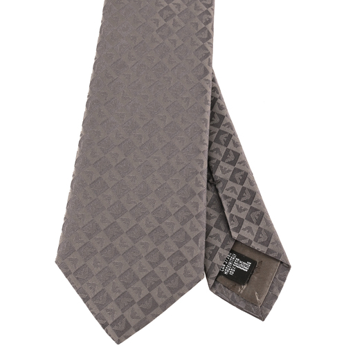 Vêtements Homme Cravates et accessoires Emporio Armani 340075_2r612-00041 Gris