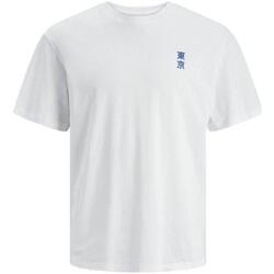 Vêtements Garçon T-shirts manches courtes Jack & Jones  Blanc