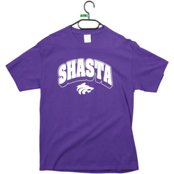Vêtements Homme T-shirts manches courtes Port And Company T-shirt  Shasta Football Violet