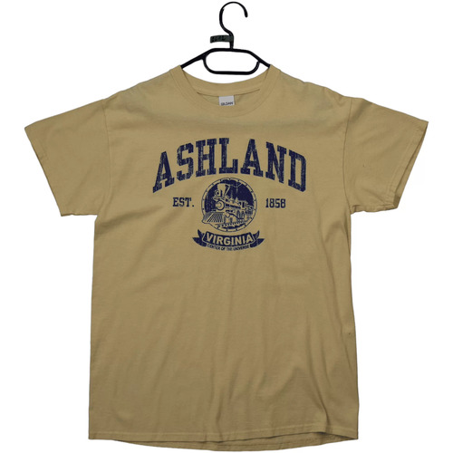 Vêtements Homme Mocassins & Chaussures bateau Gildan T-shirt  Ashland Virginia Jaune