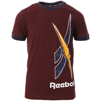 Vêtements Garçon T-shirts blacks courtes Reebok Sport H89464 Rouge