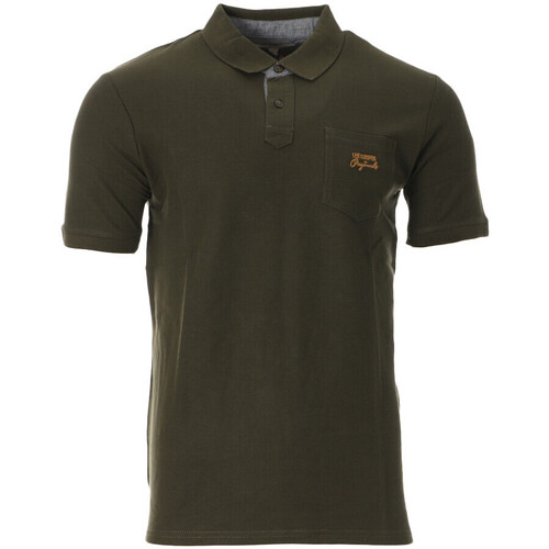 Vêtements Homme T-shirts & Polos Lee Cooper LEE-011121 Vert