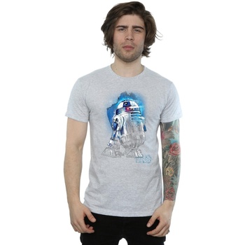 Vêtements Homme T-shirts manches longues Star Wars: The Last Jedi BI1110 Gris