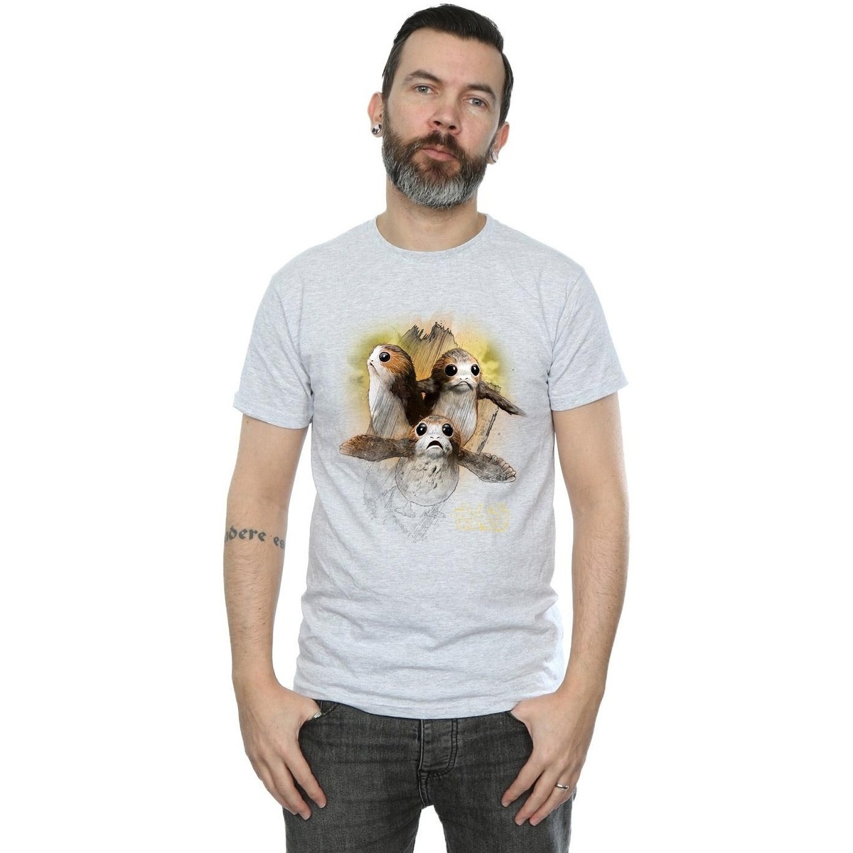 Vêtements Homme T-shirts manches longues Star Wars: The Last Jedi BI1181 Gris
