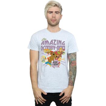 Vêtements Homme T-shirts manches longues Scooby Doo  Gris