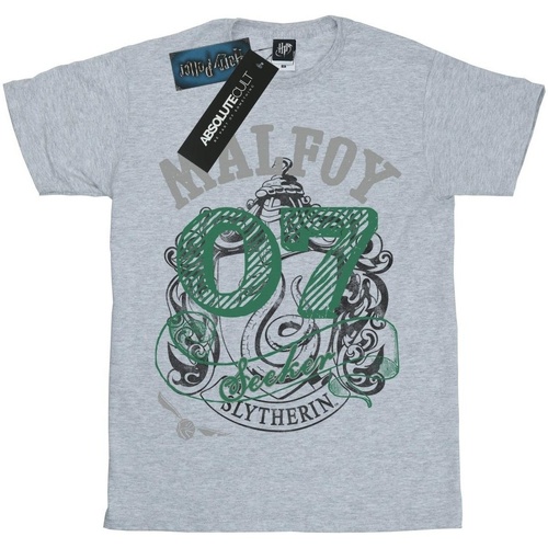 Vêtements Fille T-shirts manches Thomas Harry Potter Seeker Gris