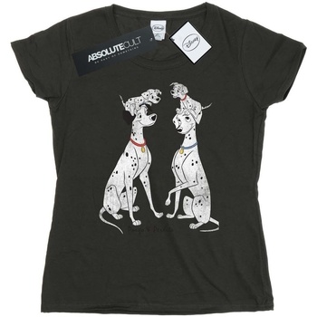 Vêtements Femme T-shirts manches longues Dessins Animés Pongo And Perdita Gris