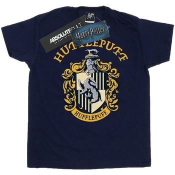 Vêtements Fille T-shirts manches longues Harry Potter BI1557 Bleu