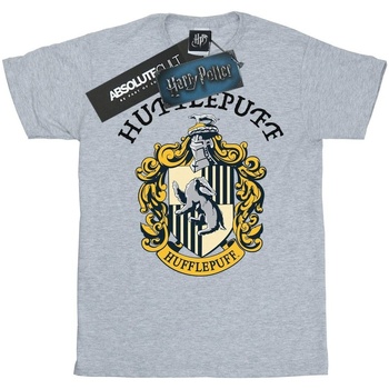Vêtements Fille T-shirts manches longues Harry Potter  Gris