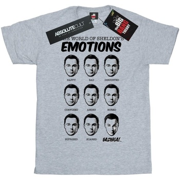 Vêtements Femme T-shirts manches longues The Big Bang Theory Emotions Gris