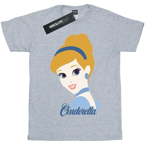 Vêtements Fille T-shirts manches longues Cinderella  Gris