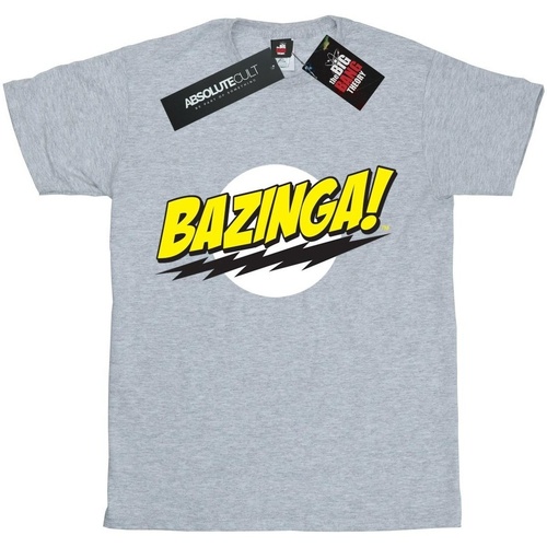 Vêtements Fille T-shirts manches longues The Big Bang Theory Bazinga Gris