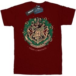 Vêtements Garçon T-shirts manches longues Harry Potter  Multicolore