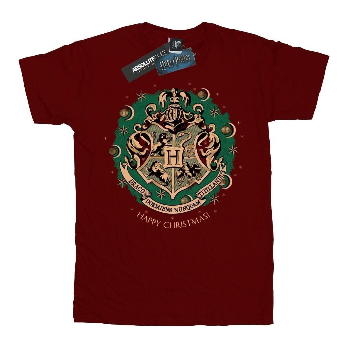 Vêtements Garçon T-shirts manches longues Harry Potter  Multicolore