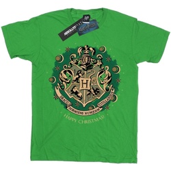 Vêtements Garçon T-shirts manches longues Harry Potter  Vert