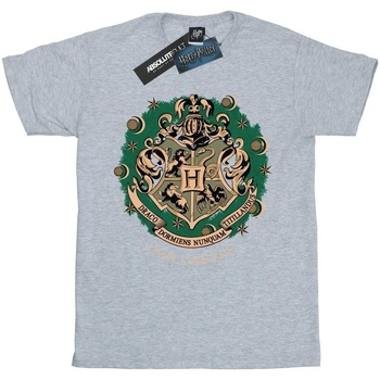 Vêtements Garçon T-shirts manches longues Harry Potter BI1681 Gris