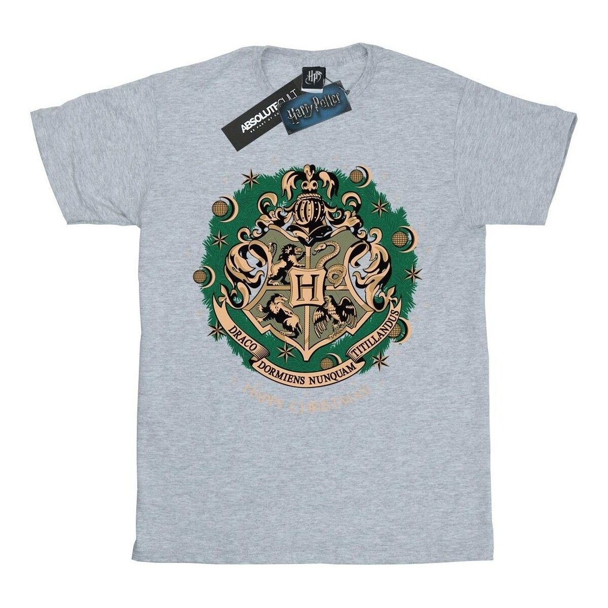 Vêtements Garçon T-shirts manches longues Harry Potter  Gris