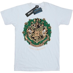 Vêtements Garçon T-shirts manches longues Harry Potter  Blanc