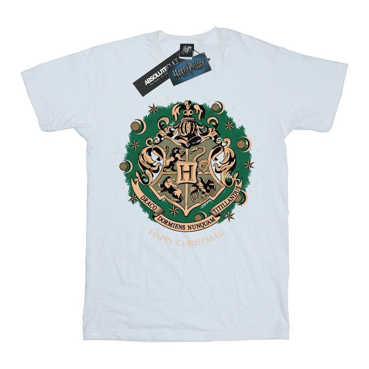 Vêtements Garçon T-shirts manches longues Harry Potter BI1681 Blanc