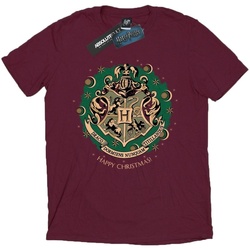 Vêtements Homme T-shirts manches longues Harry Potter BI1711 Multicolore