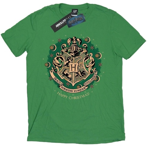 Vêtements Homme T-shirts manches longues Harry Potter BI1711 Vert