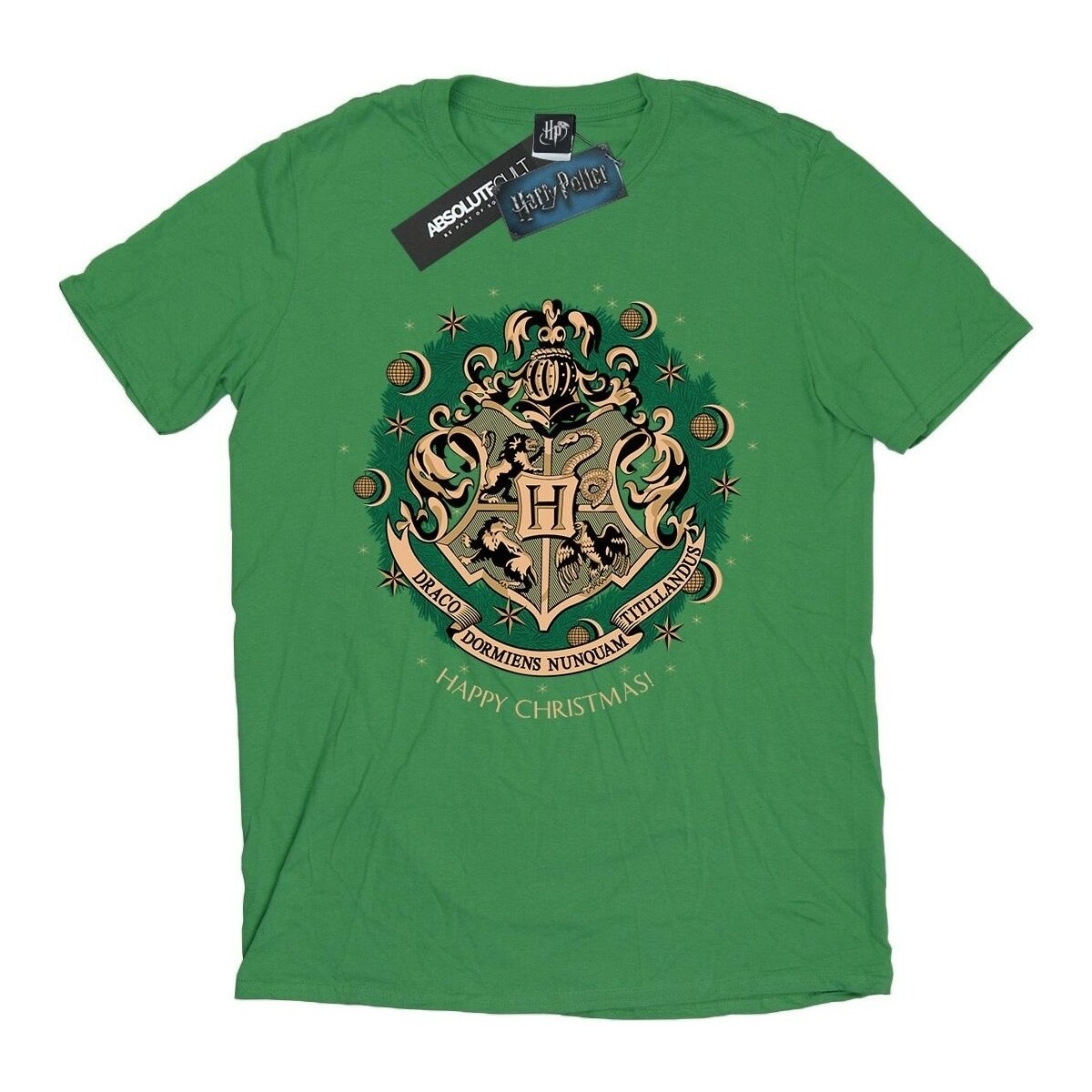 Vêtements Homme T-shirts manches longues Harry Potter  Vert