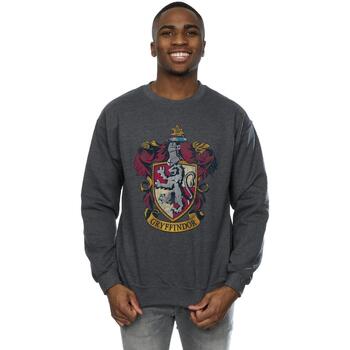 Vêtements Homme Sweats Harry Potter BI1792 Gris