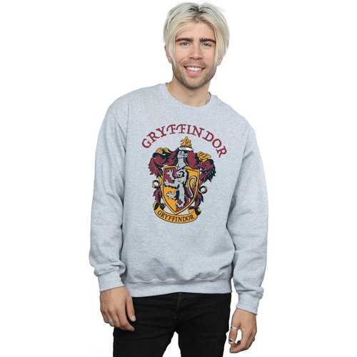 Vêtements Homme Sweats Harry Potter BI1874 Gris