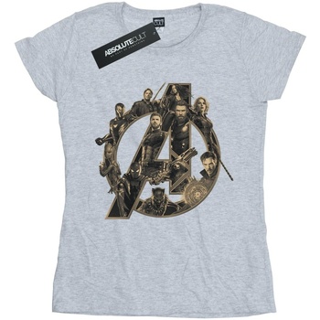 Vêtements Femme T-shirts manches longues Avengers Infinity War  Gris