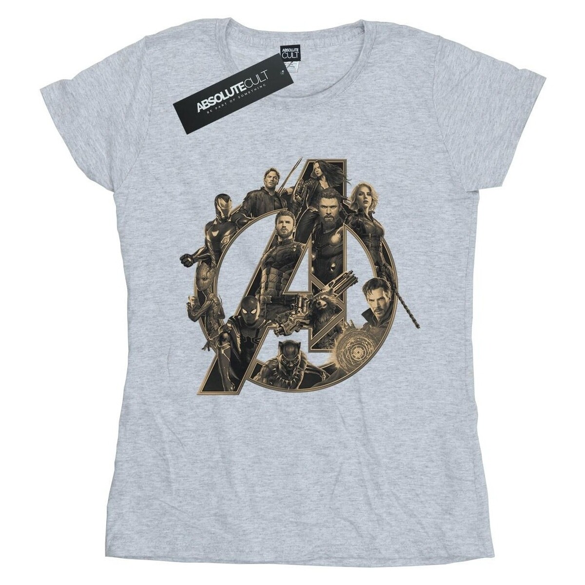 Vêtements Femme T-shirts manches longues Avengers Infinity War BI2162 Gris