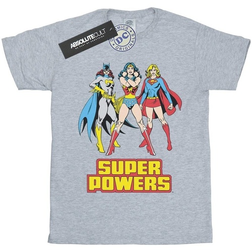 Vêtements Homme T-shirts manches longues Dc Super Hero Girls Super Power Gris