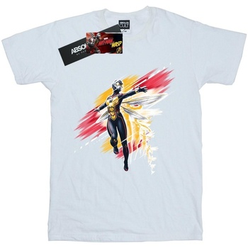 Vêtements Homme T-shirts manches longues Ant-Man And The Wasp BI433 Blanc