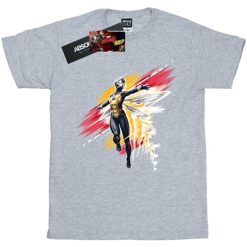 Vêtements Fille T-shirts manches longues Ant-Man And The Wasp BI438 Gris