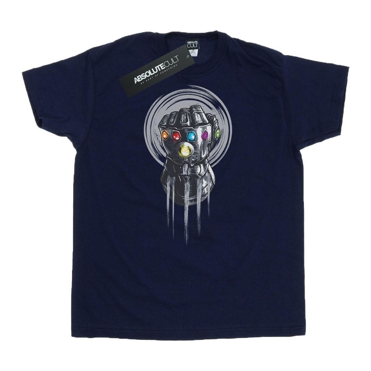Vêtements Homme T-shirts manches longues Avengers Infinity War BI441 Bleu