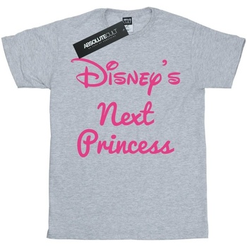Vêtements Fille T-shirts manches longues Disney Next Princess Gris