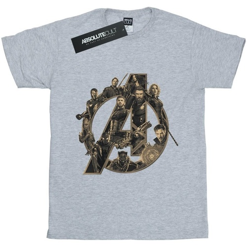 Vêtements Femme T-shirts manches longues Avengers Infinity War BI550 Gris