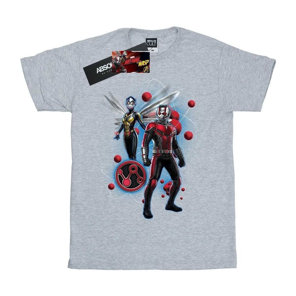Vêtements Fille T-shirts manches longues Ant-Man And The Wasp Particle Pose Gris