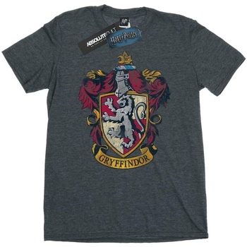 Vêtements Homme T-shirts manches longues Harry Potter BI582 Gris