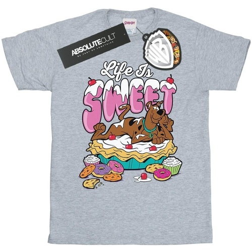 Vêtements Fille T-shirts manches longues Scooby Doo Life Is Sweet Gris