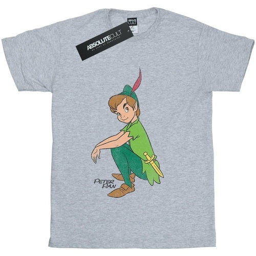 Vêtements Fille T-shirts manches longues Peter Pan Classic Gris