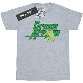 Vêtements Homme T-shirts manches longues Green Arrow BI740 Gris