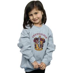 Vêtements Fille Sweats Harry Potter BI797 Gris